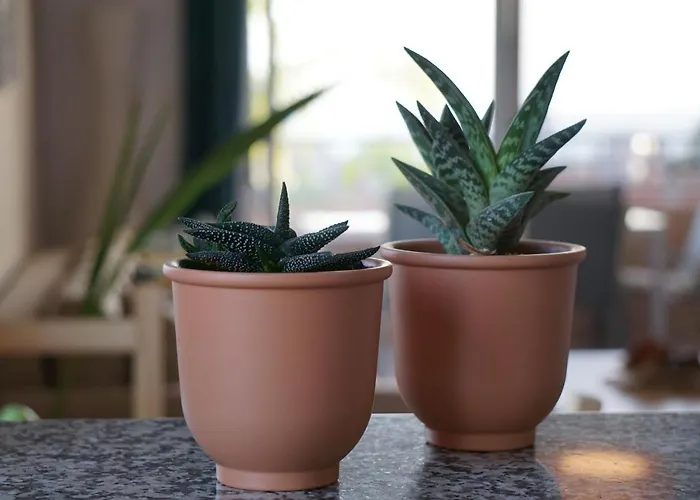 Apartament Seaview In